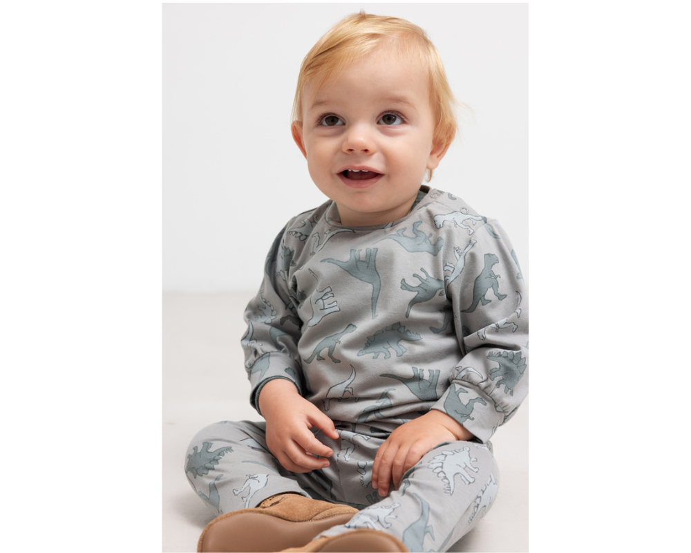Dino Jungle Set