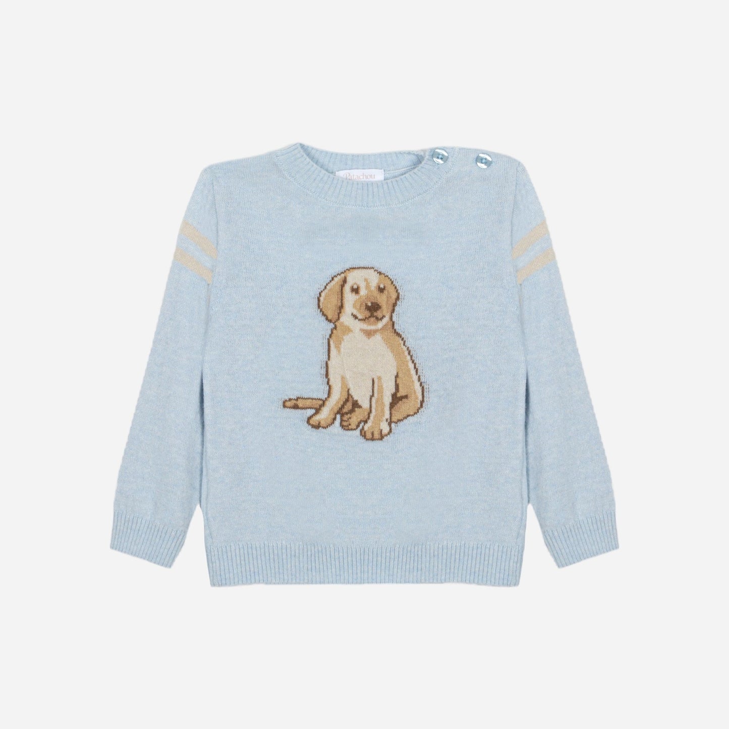 Dog Sweater Set