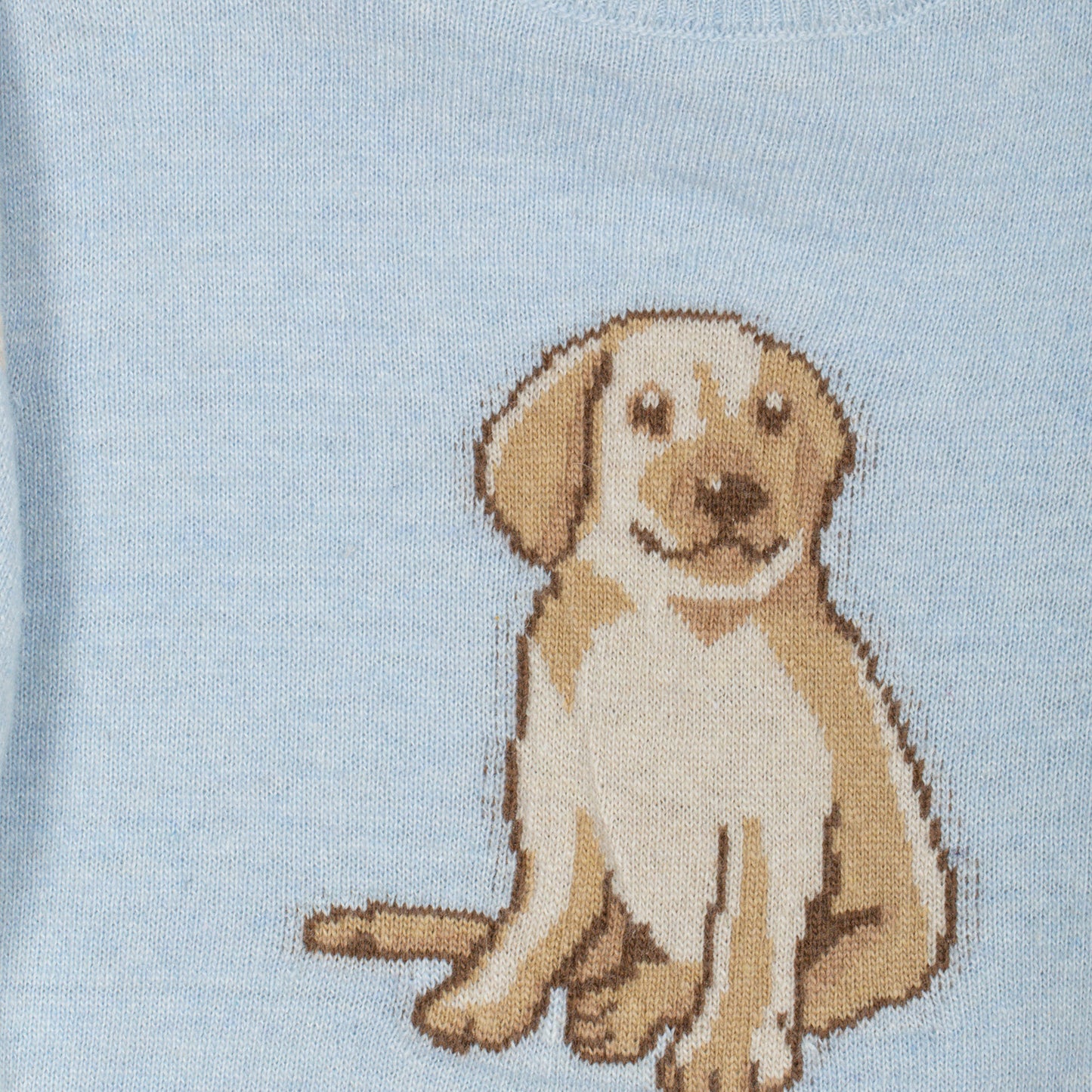 Dog Sweater Set