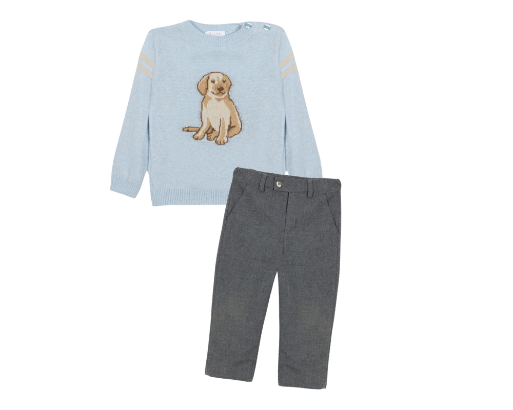 Dog Sweater Set