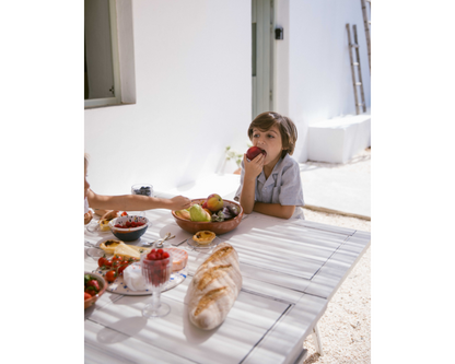 Tage and Pal Navy Stripe Shorts Set
