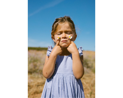 Navy Stripe Danita Frill Dress