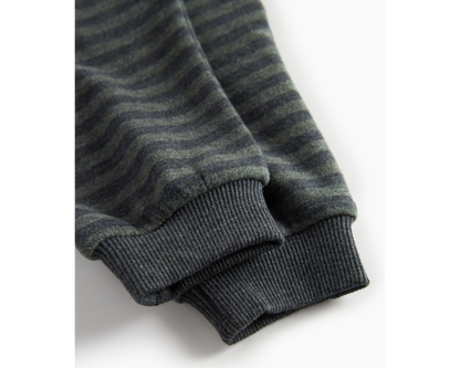 Forest Stripe Sweatpants