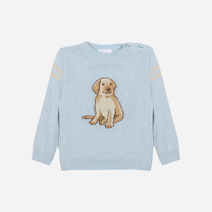 Dog Sweater Set