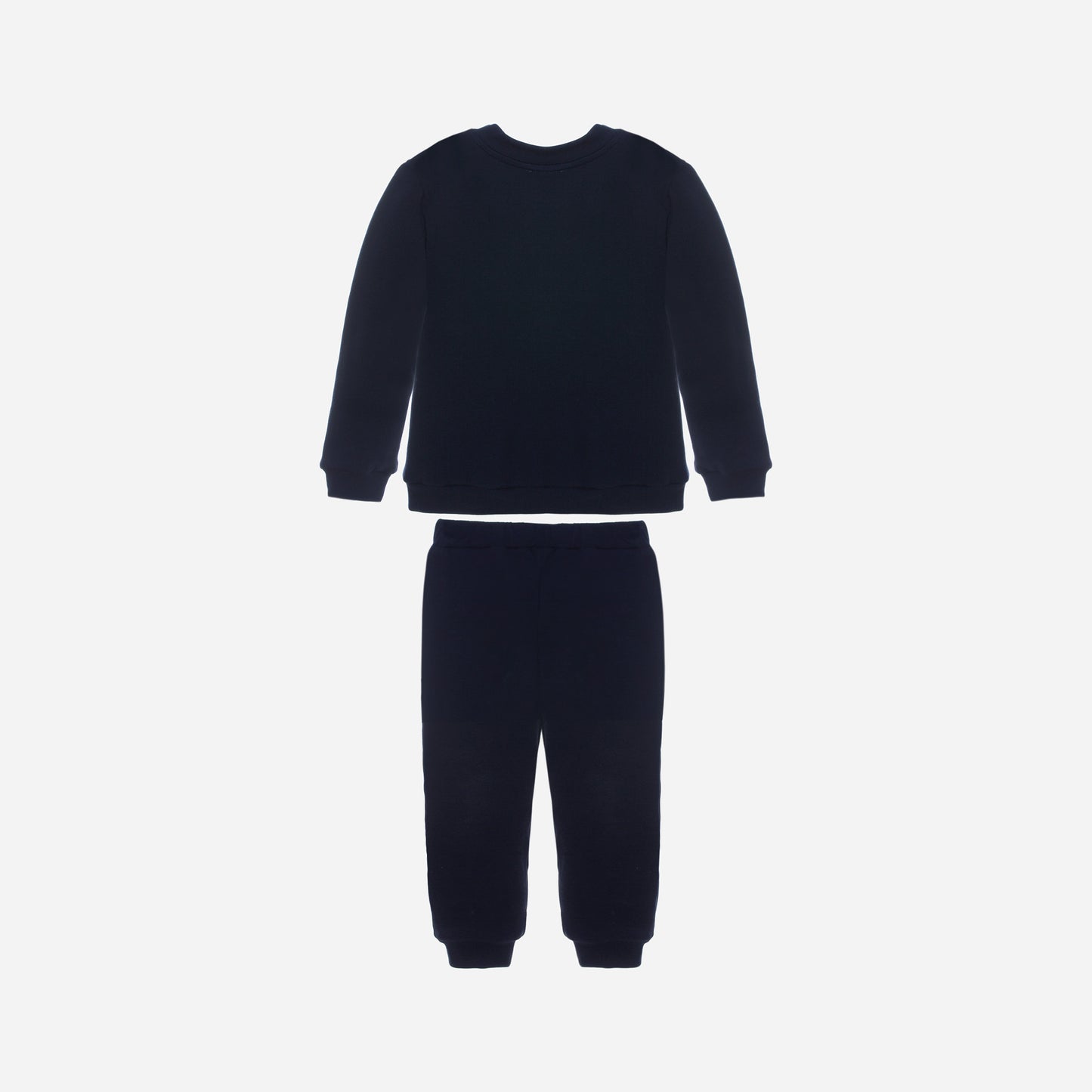 Bear Navy Sweat Set