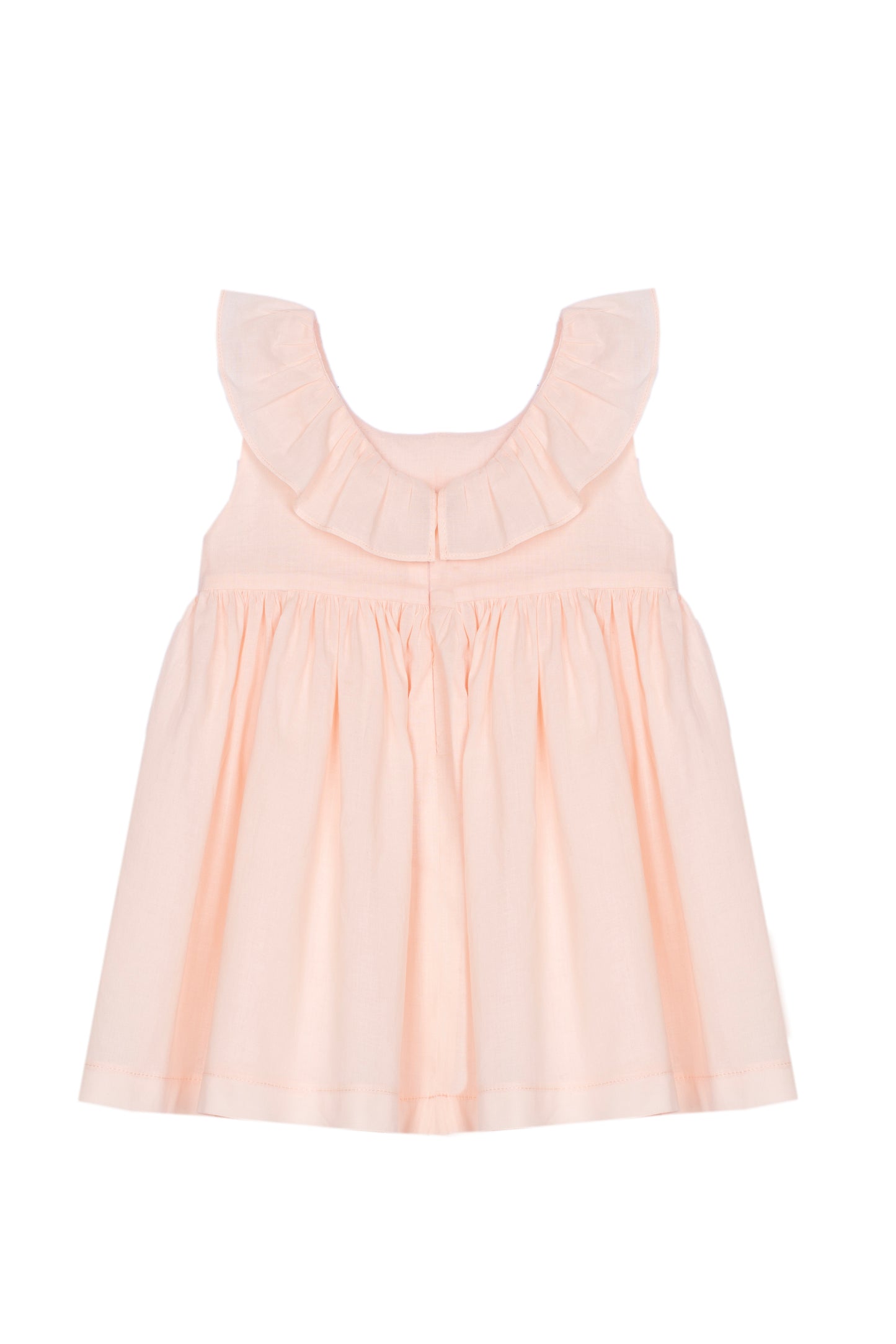 Elegant Salmon Embroidered Dress