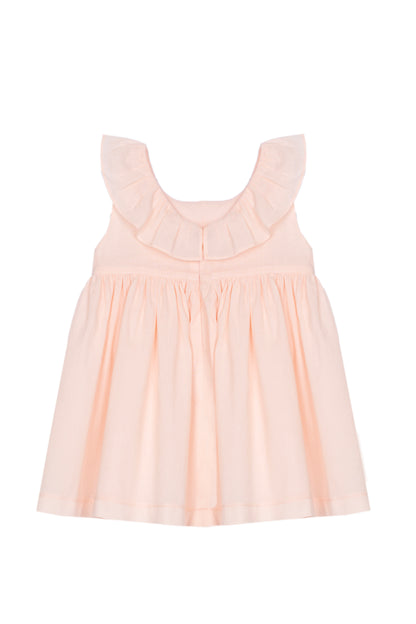 Elegant Salmon Embroidered Dress