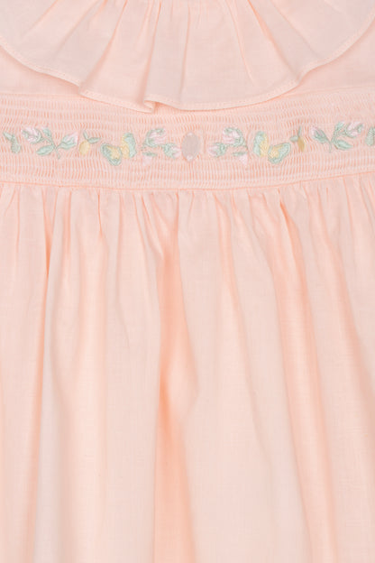 Elegant Salmon Embroidered Dress