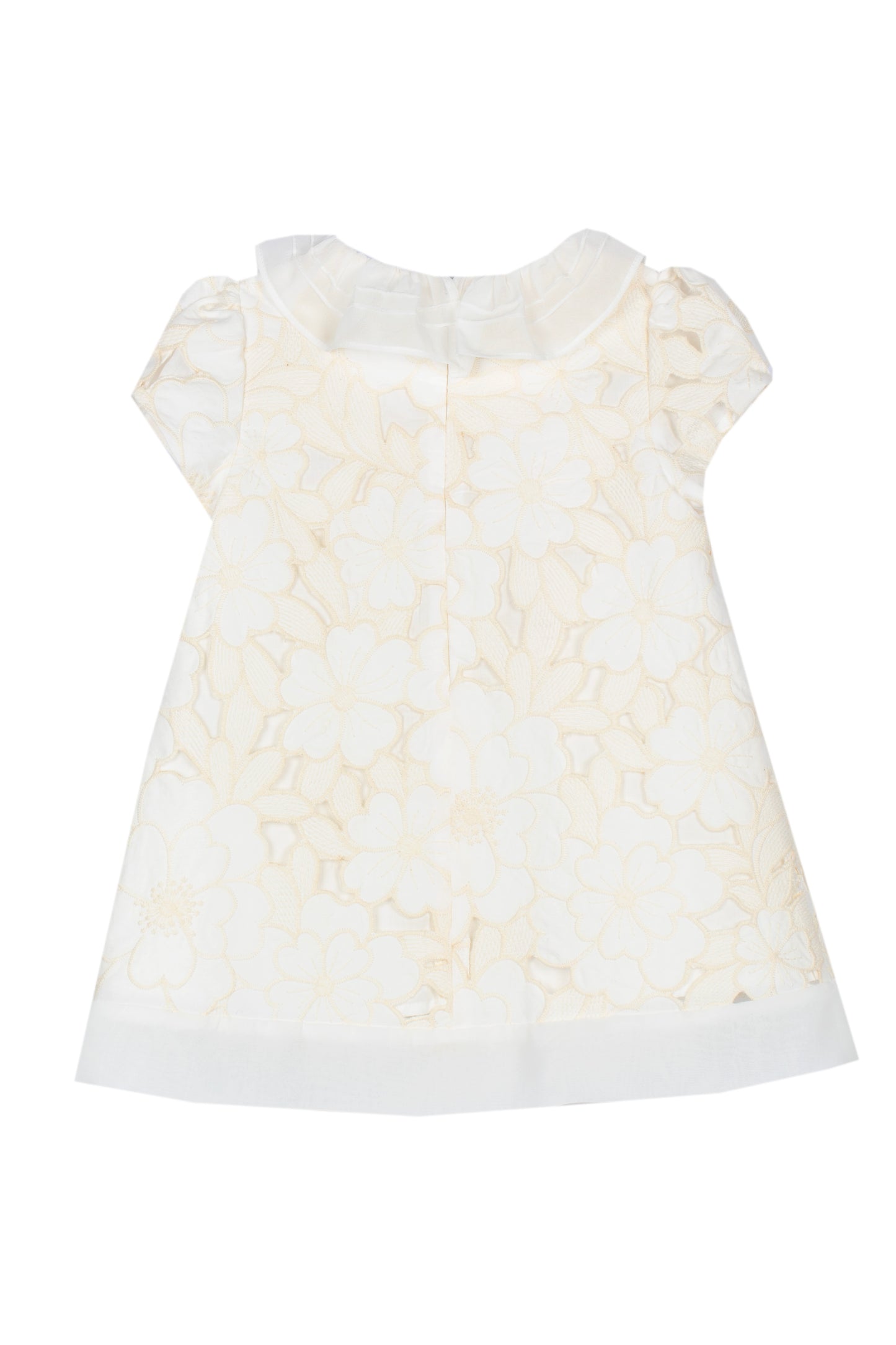 Elegant Beige Floral Embroidered Dress