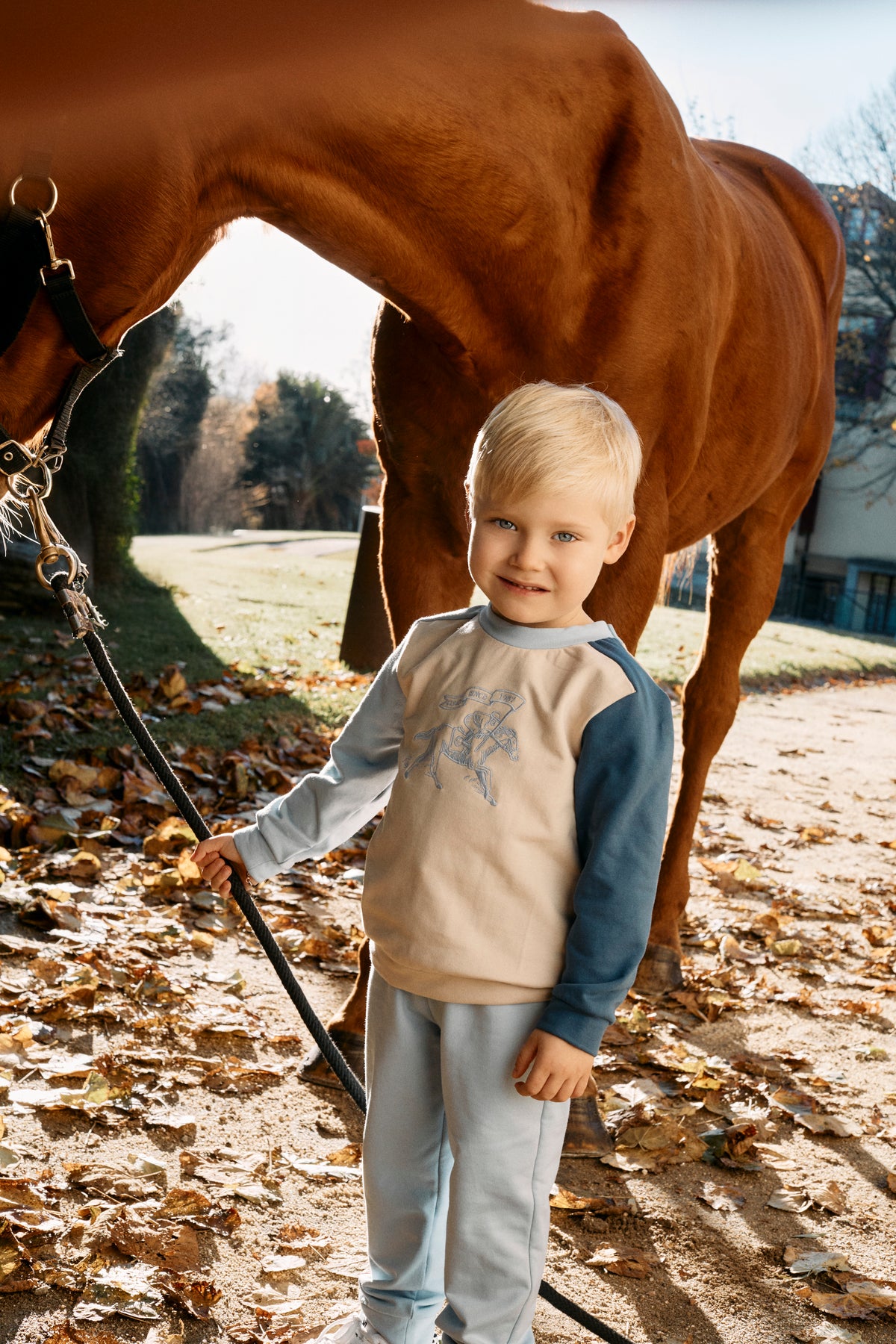 Light Blue Color Block Sweat Set with Horse