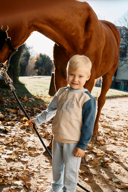 Light Blue Color Block Sweat Set with Horse