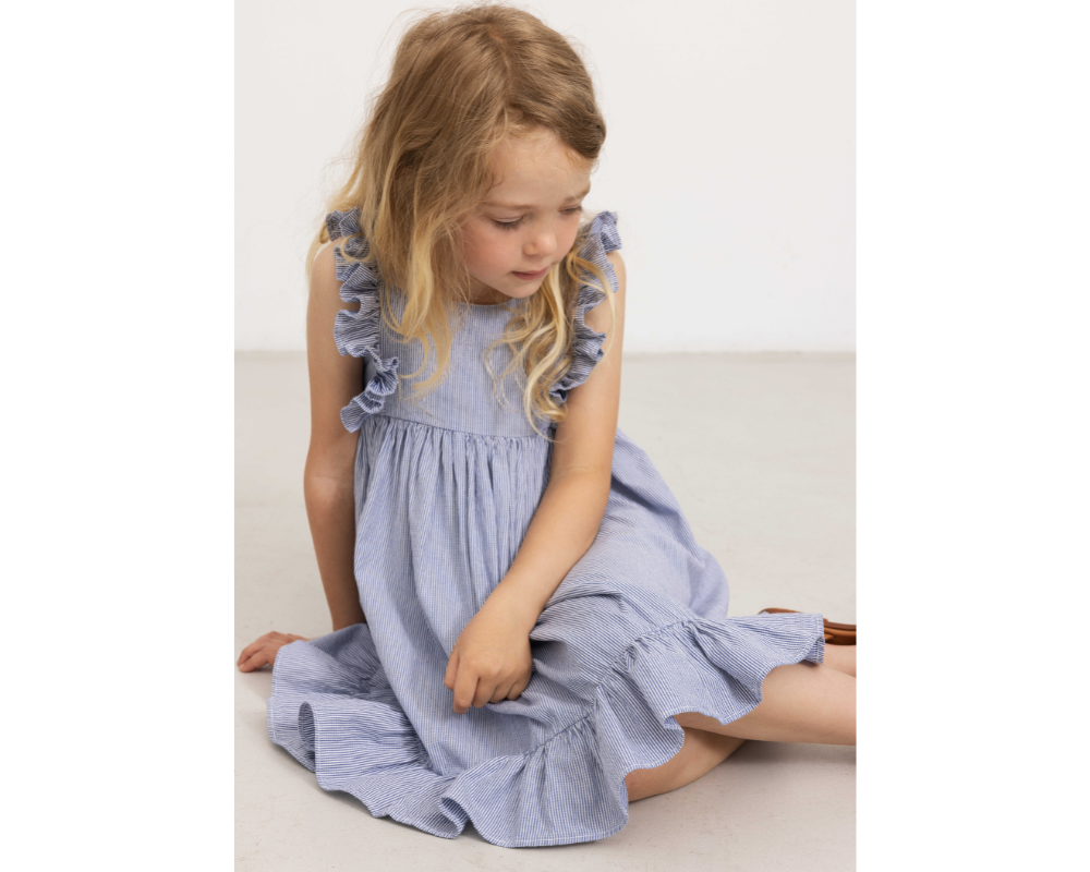Navy Stripe Danita Frill Dress