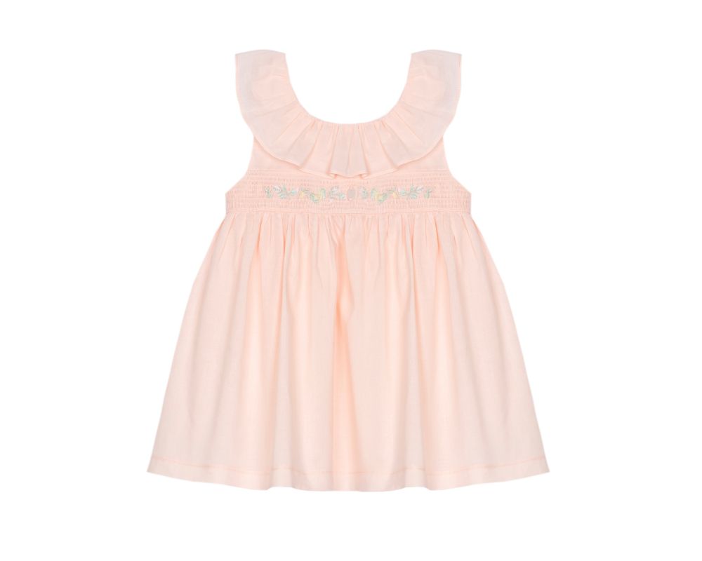 Elegant Salmon Embroidered Dress