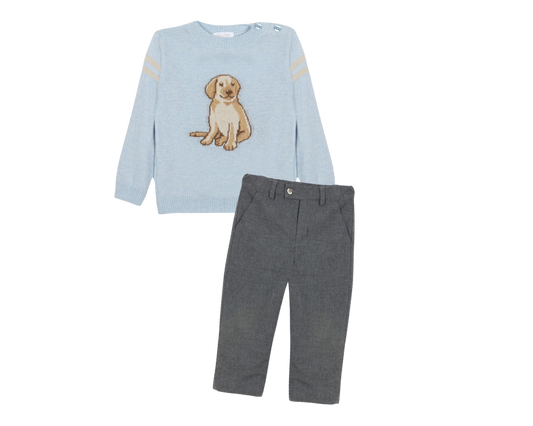 Dog Sweater Set
