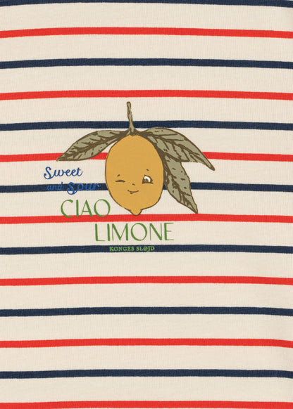 Basic Set - Tricolore Stripes